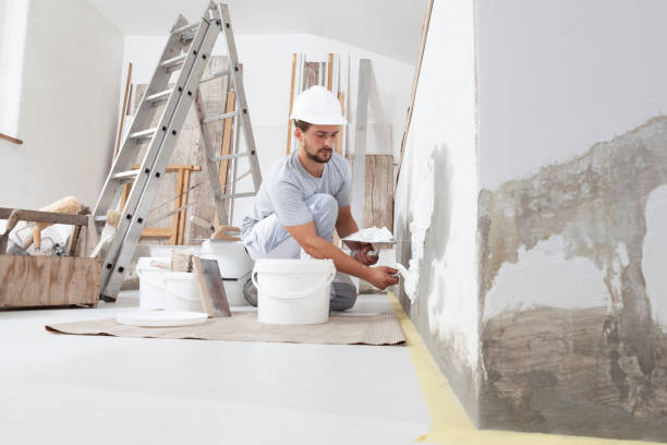 Professional Mold Removal in Andrews, TX