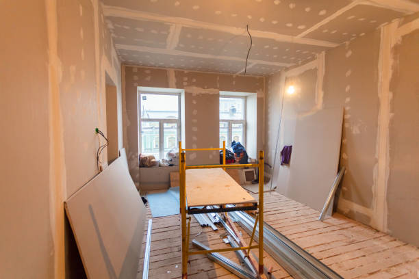 Best Mold Odor Removal Services  in Andrews, TX